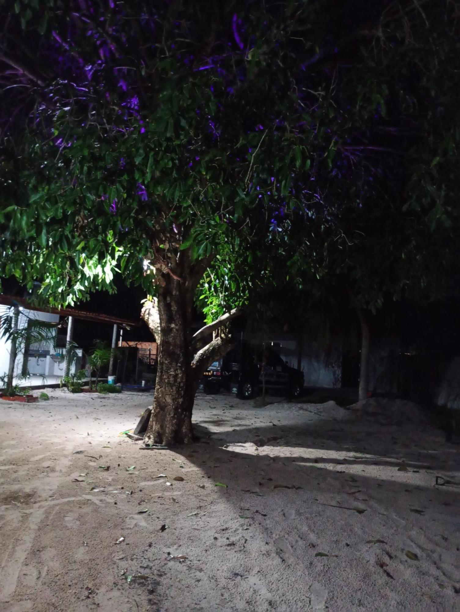 Hostel E Camping Na Rua Das Flores Santo Amaro do Maranhao 외부 사진