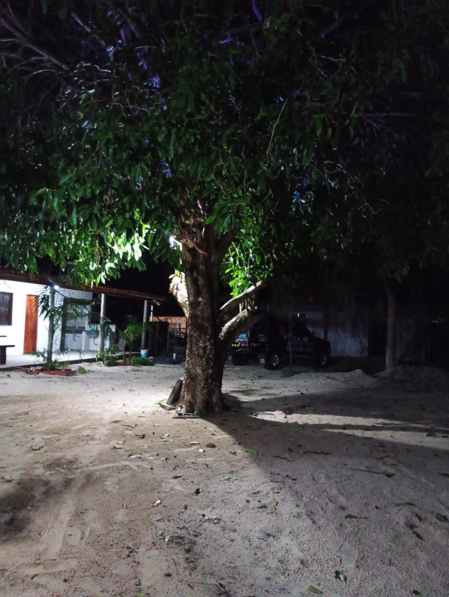 Hostel E Camping Na Rua Das Flores Santo Amaro do Maranhao 외부 사진
