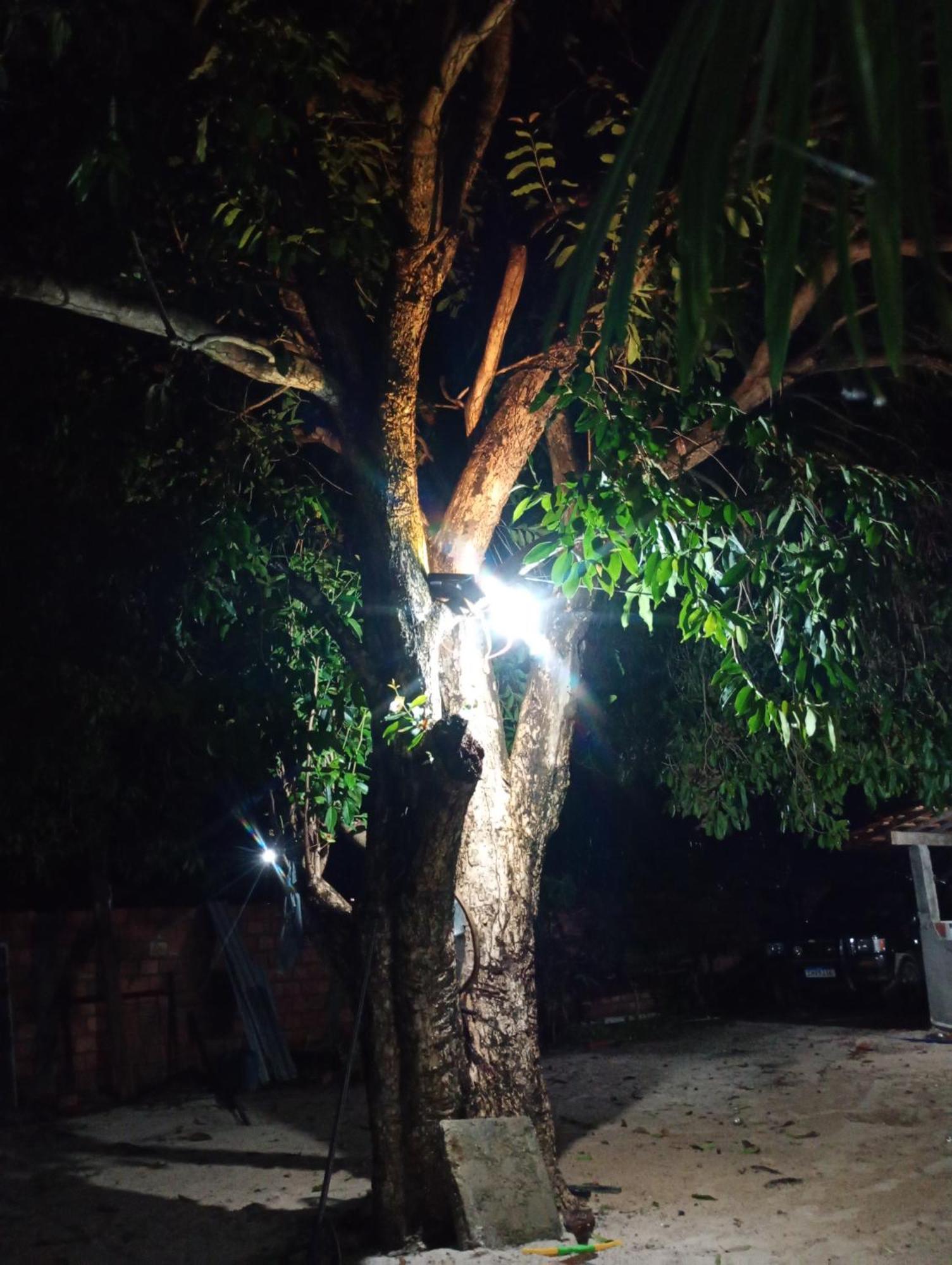 Hostel E Camping Na Rua Das Flores Santo Amaro do Maranhao 외부 사진
