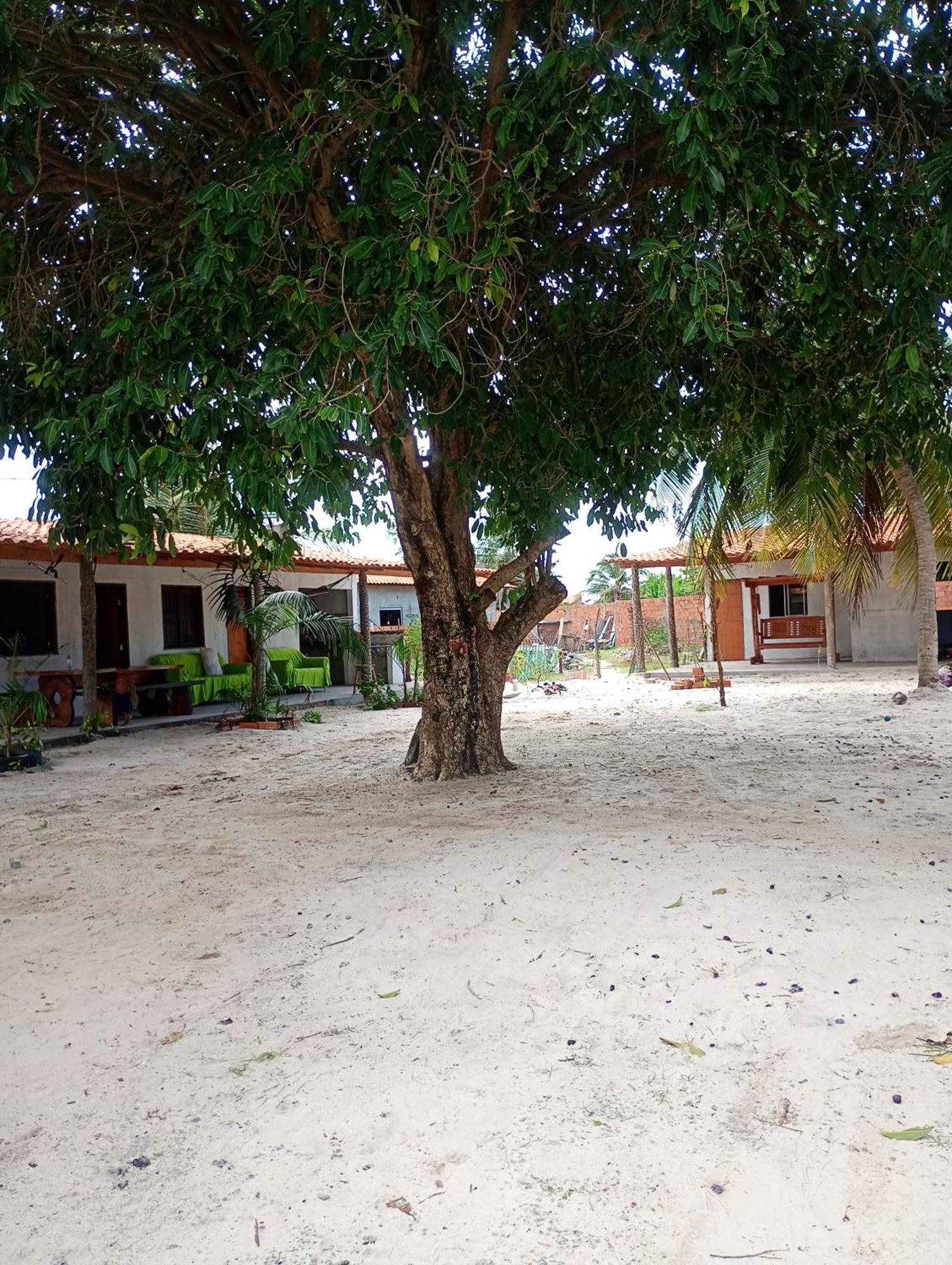 Hostel E Camping Na Rua Das Flores Santo Amaro do Maranhao 외부 사진