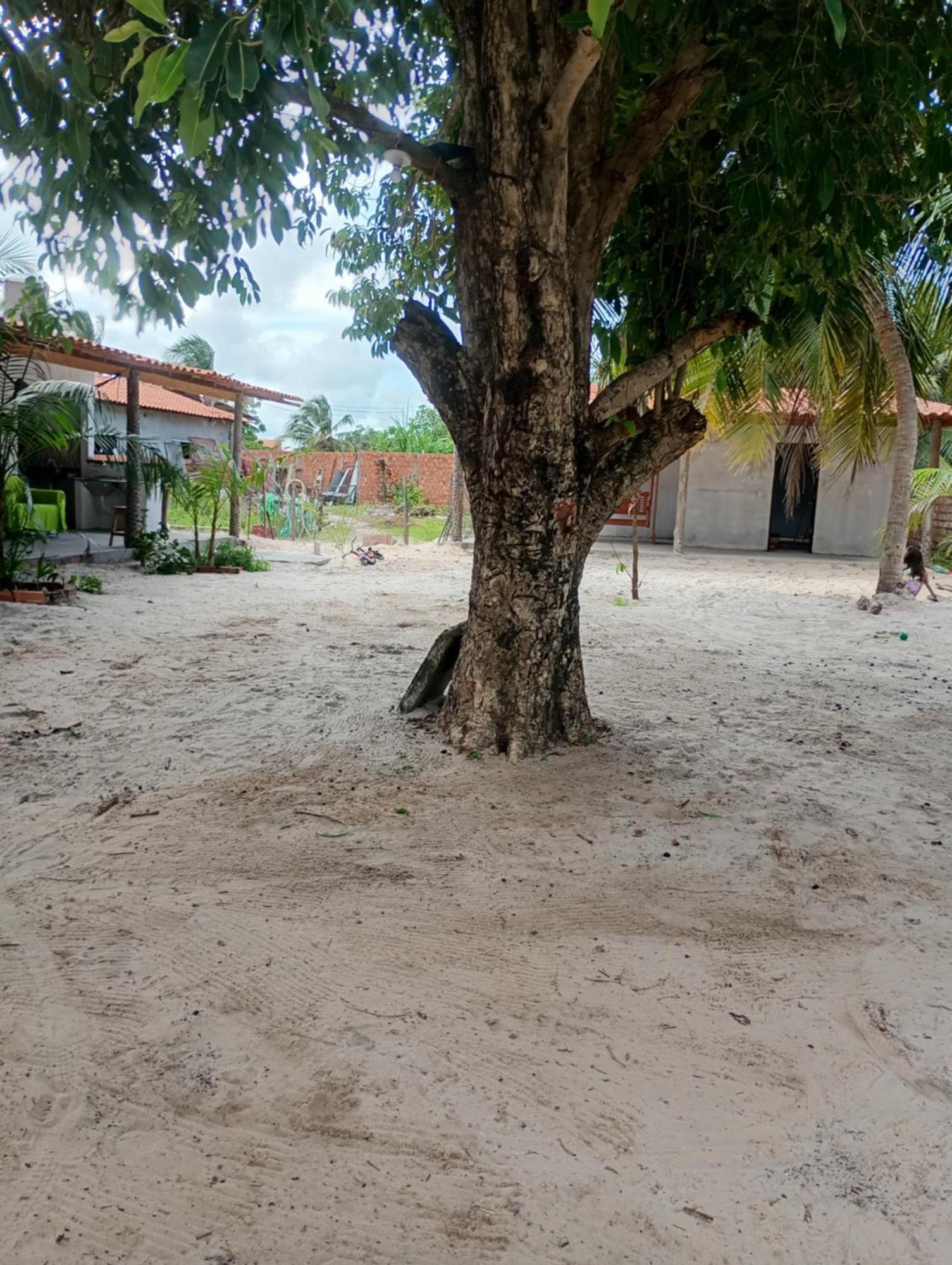 Hostel E Camping Na Rua Das Flores Santo Amaro do Maranhao 외부 사진
